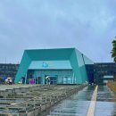 제주칼치자판기 | 제주 관광지 실내데이트 아이랑 갈만한 곳 아쿠아플라넷할인 및 공연
