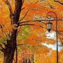 시월은 또 그 자리에서 나를 기다릴 것이다 이미지