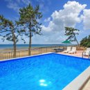 반도스파인 이미지