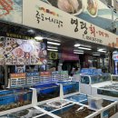 영광문구센타 | 포항 죽도시장 횟집 러시아 대게 세트가 맛있는 영광회대게센타
