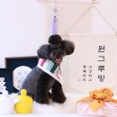 원 그루밍 이미지