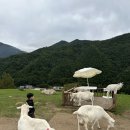 한우리목장 이미지