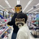 돈텔호텔 이미지