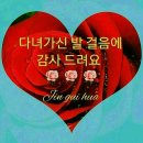 아름하루