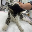 소답동225 이미지