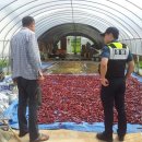 도고·선장파출소 이미지