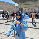 망일길 | 이스탄불 아야소피아 후기 입장료, 복장, 티켓 줄 안 서는 방법