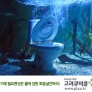 고급 화장실칸막이 일체형 큐비클_경기도 시흥 이미지