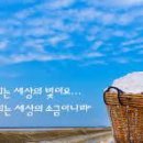 소금 Daum카페