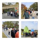 국화 향기가 향기롭게 퍼지고 색색깔의 풍경이 눈을 취하게하는 시간(드림파크 국화축제) 이미지