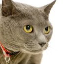 블루동물병원 이미지