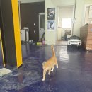 더블에스카팩토리 | 2019.10.11-더블에스카-SS CAR FACTORY/양산튜닝샵/쌍용차오일교환/오프로드튜닝/금장/자동차금장/부산...
