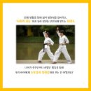 송원 태권도 이미지