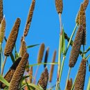 남부권 코스 이미지