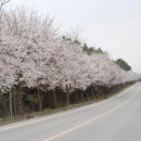 능북초등학교 이미지