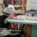 바니PC방 이미지