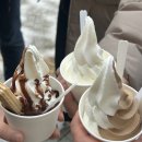 진한소프트 이미지