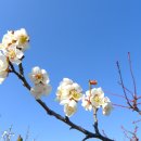 김해건설공업고등학교 이미지