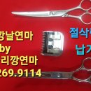 가위숲 - 순천시 | 가위숲