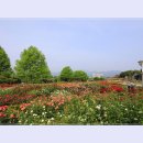 곡성-073 이미지