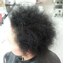 곱슬머리 Daum카페