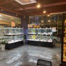 마이도그 강아지분양 울산본점 이미지