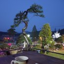 에그리나 이미지