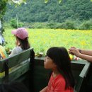 토종성황림마을 이미지