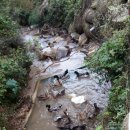 오리천국 이미지