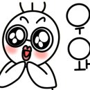 와일드복싱짐 안양관 이미지