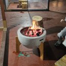 (주)고려텍미디어 | 함평 겨울 빛 축제 2025 아이랑 야간 데이트 후기/ 정보 총정리