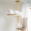 희동이의 하루 이미지