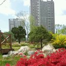 은아네집 이미지