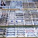 골든안경점 이미지