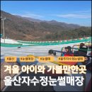 김밥나라 아동점 | 2025년 자수정동굴나라썰매장❄️ &lt;자수정눈썰매장 오픈런 입장시간 입장료 임산부할인 평상존 텐트 이용팁&gt;