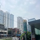 지짐이 - 삼척시 척주로 7 | 모듬전이 맛있는 서울지짐이 내돈내산 후기
