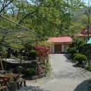 화양식당 이미지