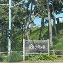 늘황소농장 | 광주 근교 아기랑, 고창 상하농원 뛰어놀고 체험하고