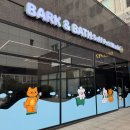 후광대로 | 목포애견미용: 우리아이를 위한 최고의 선택 '바크앤배스' 셀프목욕 후기