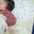 하이벨몽 이미지