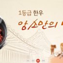 누렁소마트