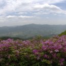 금강섬진강원 | (하동여행,하동펜션) 하동여행과 추천펜션 나무향기~~~~