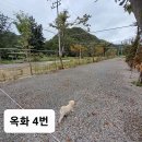 포시즌캠핑장 이미지