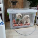 오투산소방 이미지