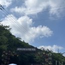 강진군 장애인복지관 | 강진 수국축제 솔직 후기, 수국은 덜 피었지만 분위기는 좋았던 강진 여행