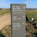 다크투어리즘코스 | 제주 알뜨르비행장 격납고 제주도 다크투어리즘 올레길 10코스