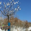 영훈농장 이미지