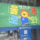 고래사냥펜션 | ✨GO 울주! 울주군 여행 필수 코스! 2025년 놓치면 후회할 숨겨진 보석