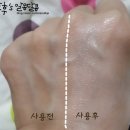 다팔다 이미지