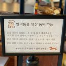 올댓멍즈 이미지